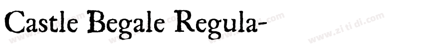 Castle Begale Regula字体转换